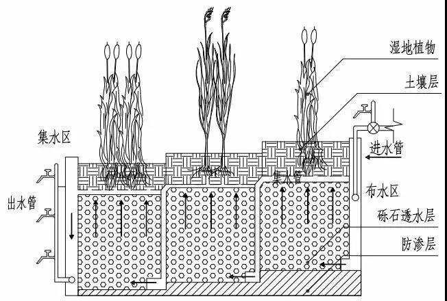 人工濕地污水處理工藝